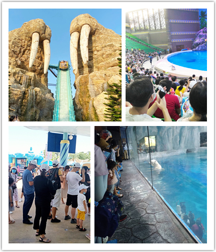 興千田集團(tuán)2020年度旅游活動-長隆二日游 興千田集團(tuán)2020年度旅游活動-長隆二日游