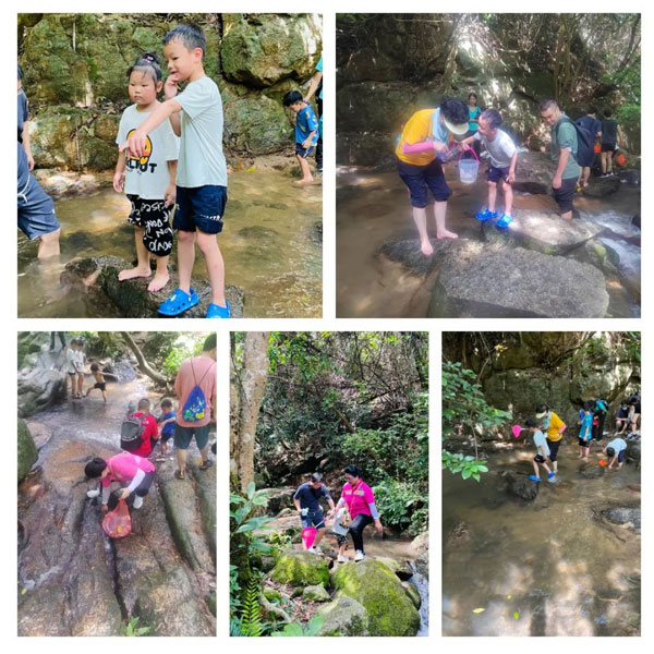 陽臺山愛護(hù)環(huán)境公益活動