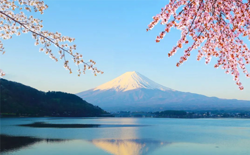 2023日本研修 2023日本研修