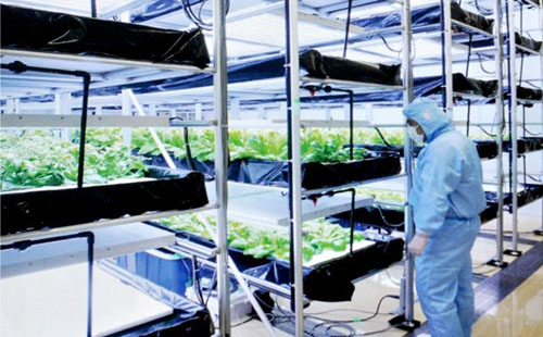 精益管可以做大棚管嗎？