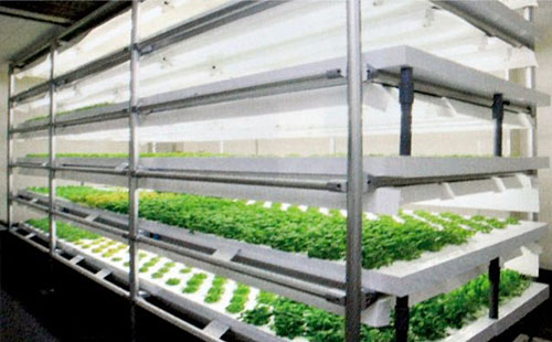 精益管可以做大棚管嗎？