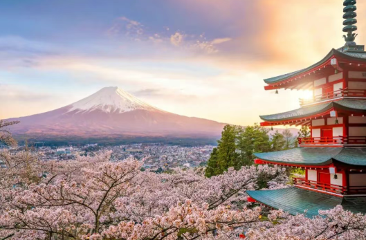 2025【精益生產(chǎn)+Karakuri 改善大會】一場關(guān)于“智慧”與“循環(huán)”的深度研學(xué) 2025【精益生產(chǎn)+Karakuri 改善大會】一場關(guān)于“智慧”與“循環(huán)”的深度研學(xué)